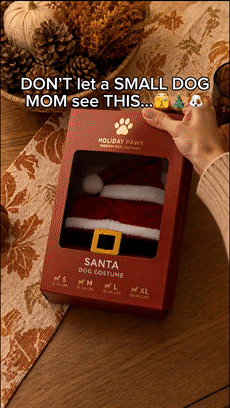 Dog wearing a festive Christmas costume